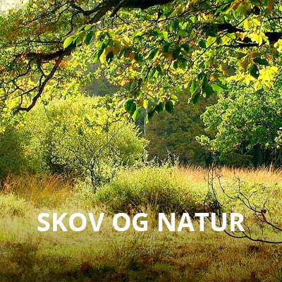 Skov og natur